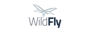 wildfly